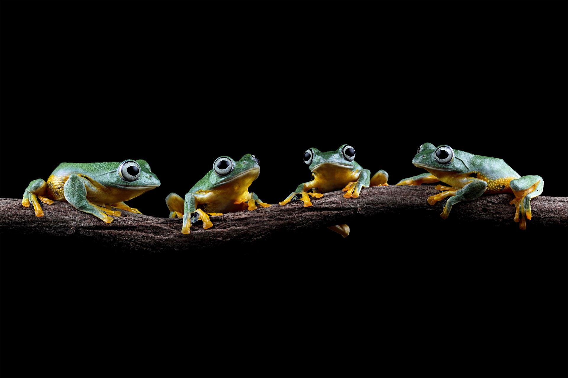 Romantic young couple enjoying vacation in Venice, Italy - Happy tourists visiting Italian city on summer holiday - Tourism and life style concept
